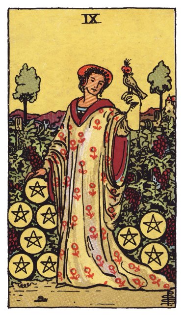 Among ripe grapevines and nine pentacles, a richly dressed figure stands alone with a falcon on one gloved hand.