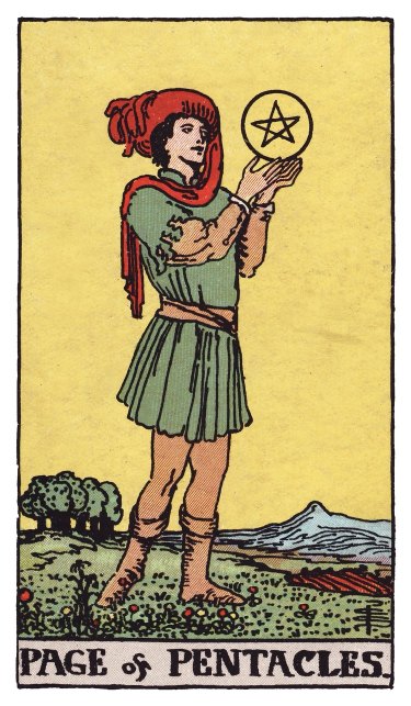 Gazing at a pentacle held up close, a young figure stands in a flowering field with a mountain in the distance.
