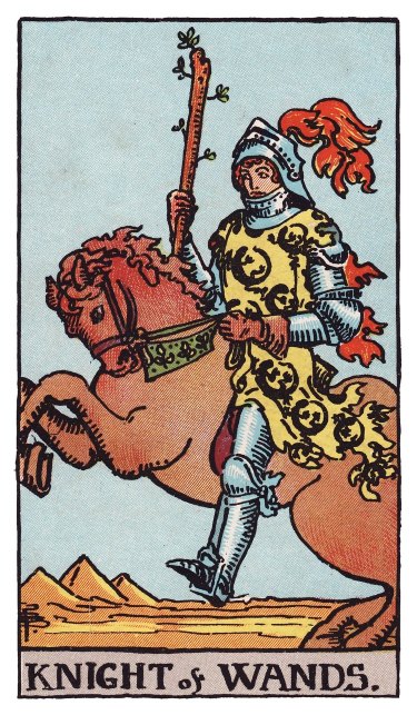 Astride a rearing horse, a knight in a salamander-patterned tunic levels his wand like a lance.